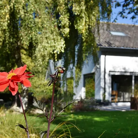 Villa Astrantia Bruinisse Buitenkant foto